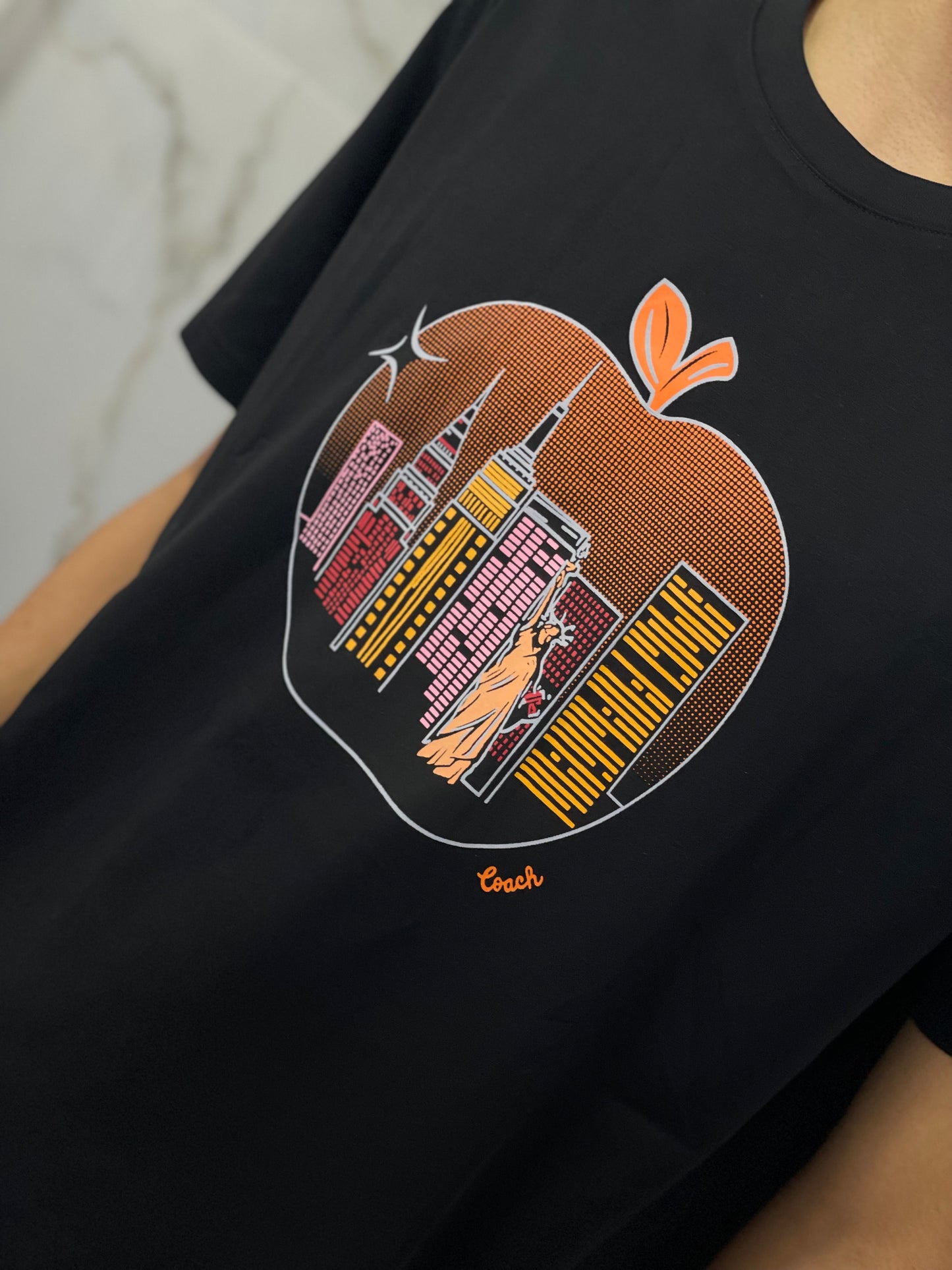CAMISETA COACH (TALLA L)